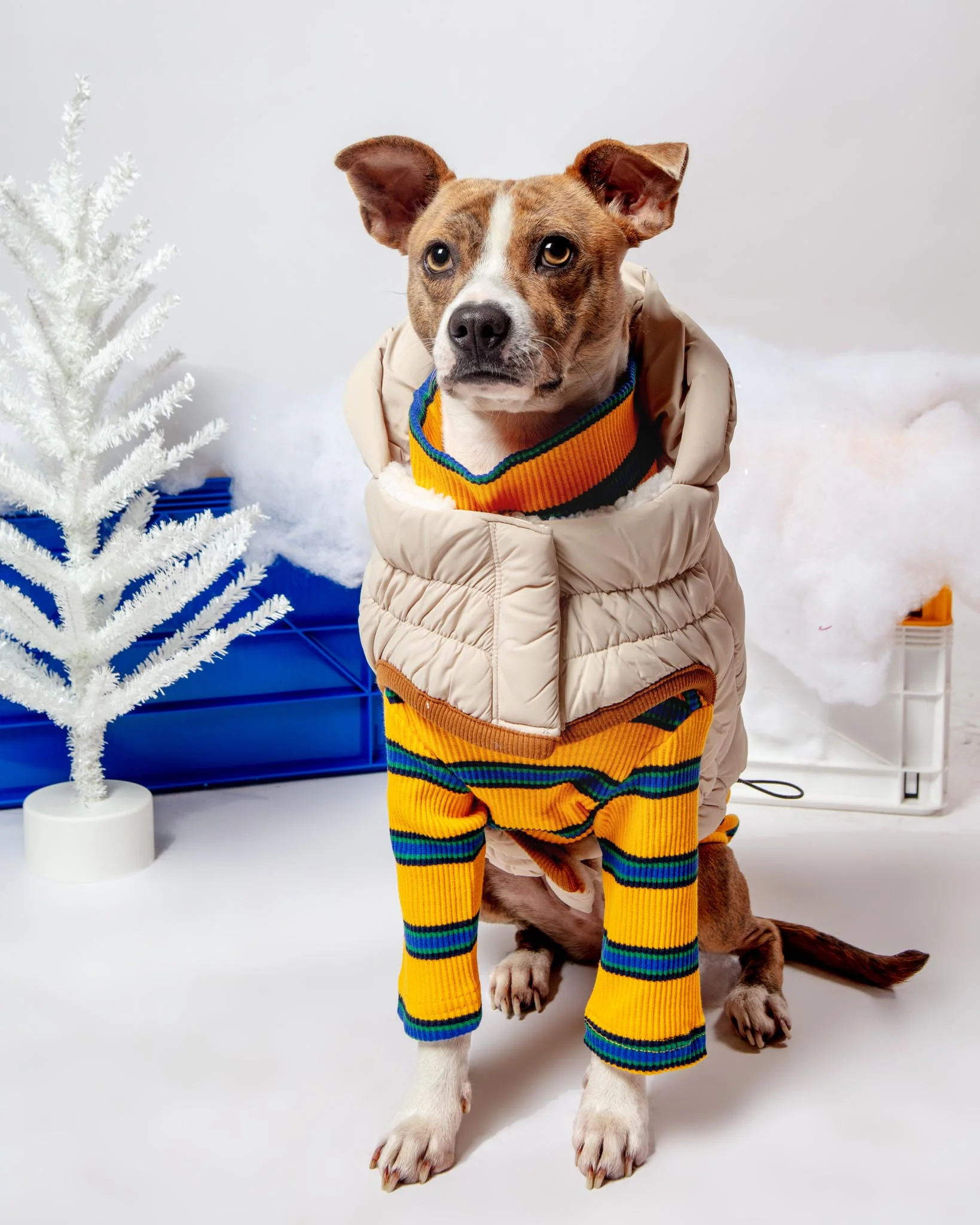 Back To School Ribbed Dog Pullover - Image 6