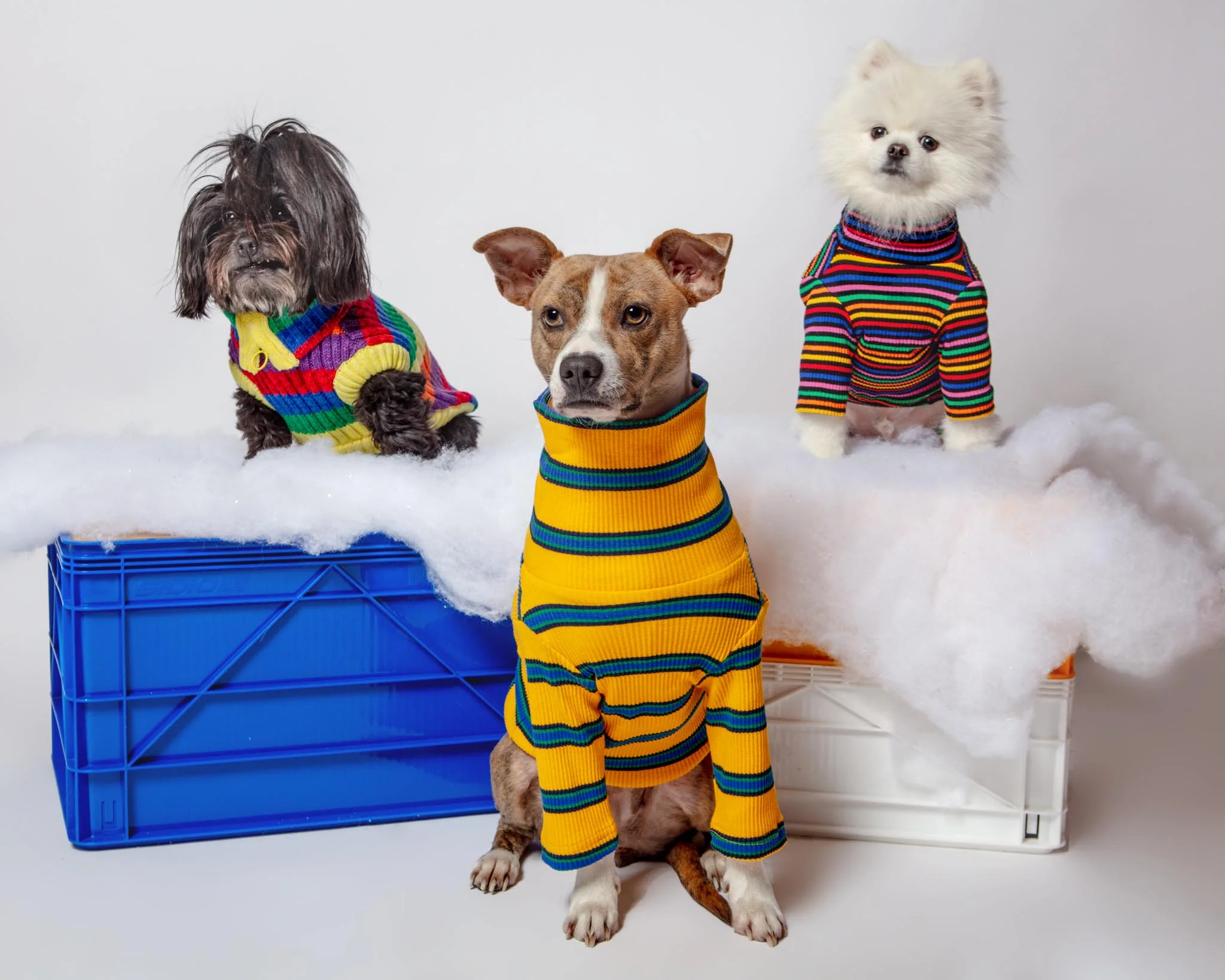 Back To School Ribbed Dog Pullover - Image 7