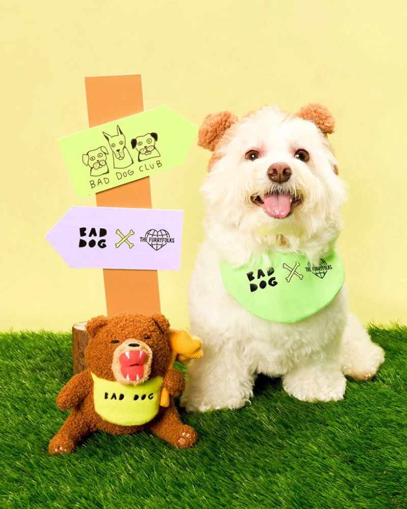 Bad Dog Bear Nosework Toy for Dogs - Image 4