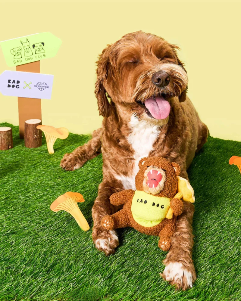 Bad Dog Bear Nosework Toy for Dogs - Image 5