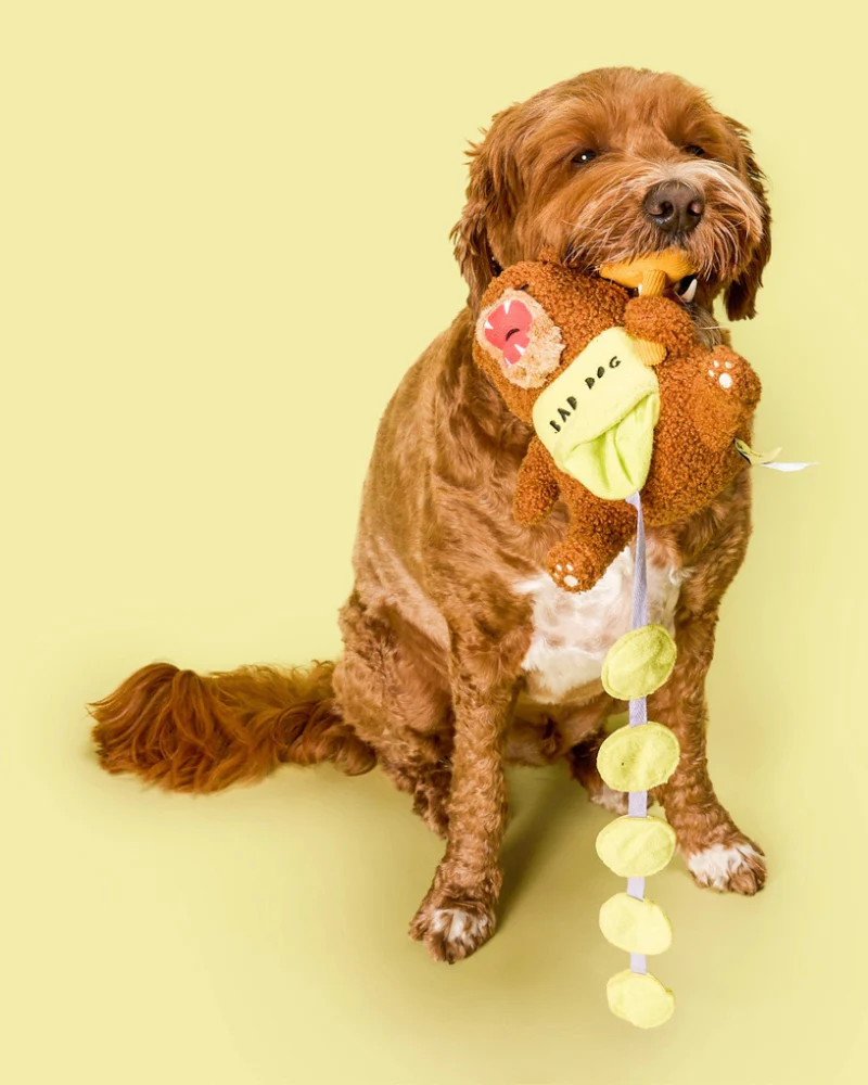 Bad Dog Bear Nosework Toy for Dogs - Image 6