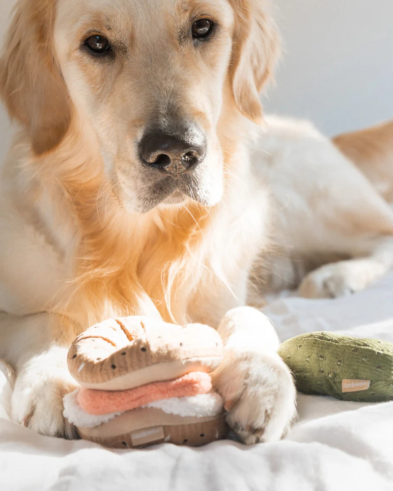 Bagel & Pickle Plush Dog Treat Toy - Image 2