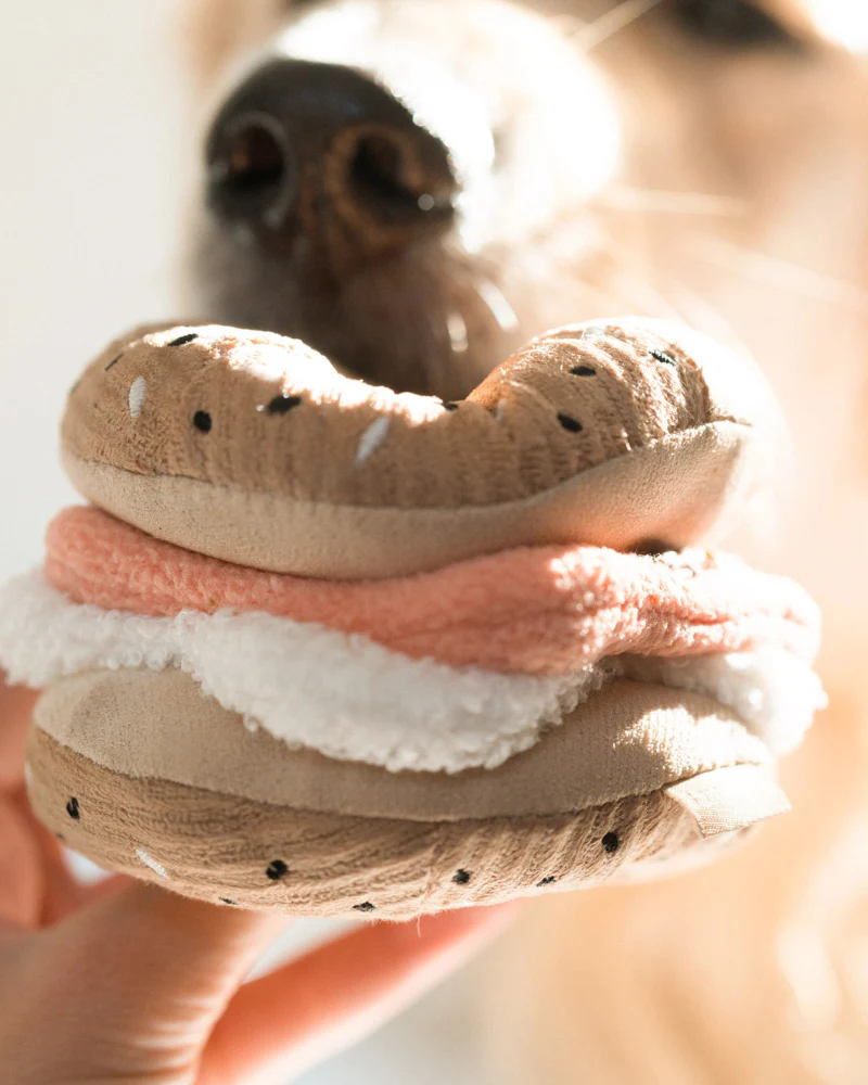 Bagel & Pickle Plush Dog Treat Toy - Image 5