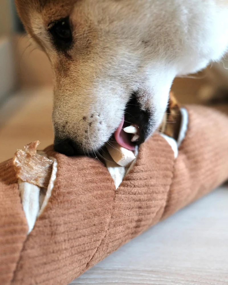 Baguette Nosework Squeaky Dog Toy - Image 6