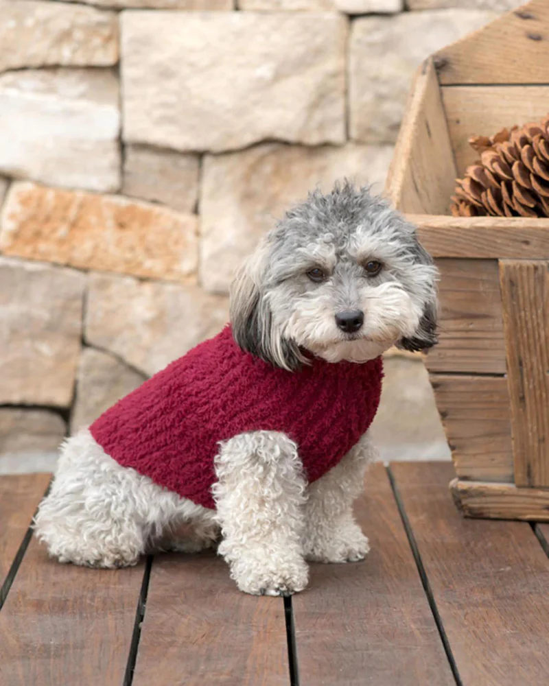 CozyChic Cranberry Ribbed Dog Sweater (FINAL SALE) - Image 2