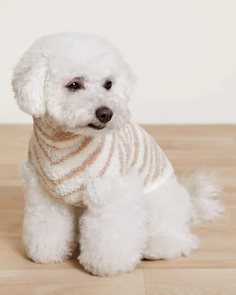 CozyChic Dog Sweater in Cream & Tan Tiger Stripes - Image 3