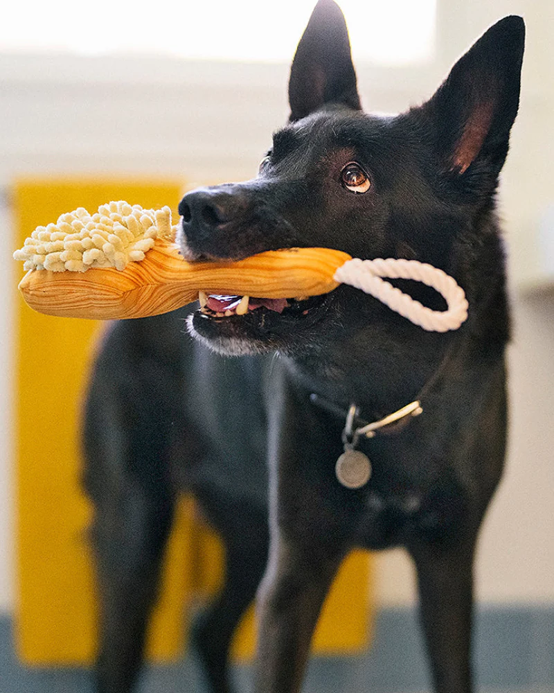 Bark n' Bristles Squeaky Plush Dog Toy - Image 2