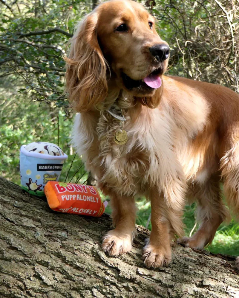Bark & Snuffle Chunky Doggy Ice Cream - Image 7