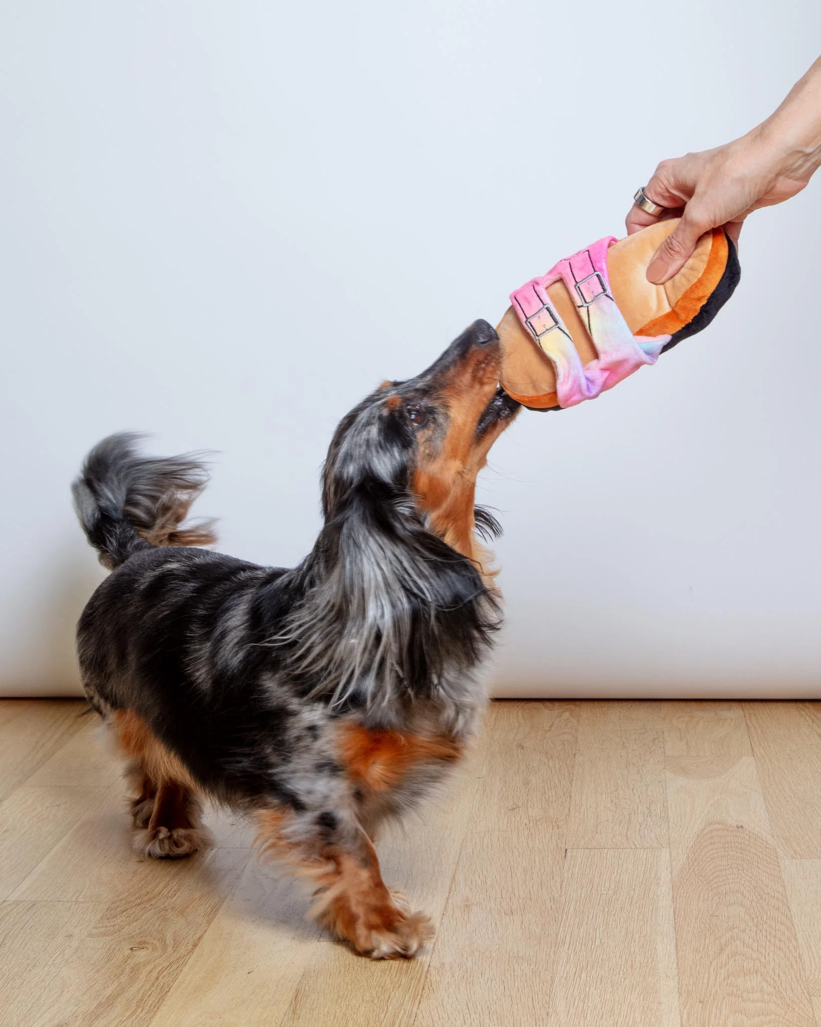 Barkenstock Rainbow Sandal Squeaky Dog Toy - Image 3
