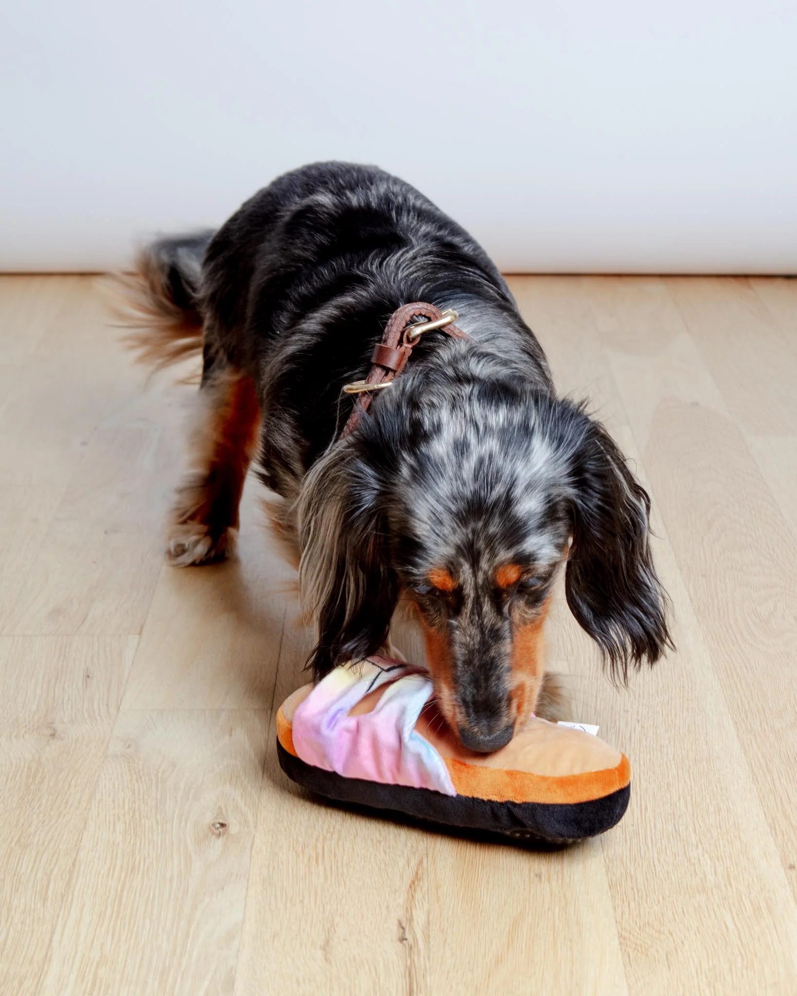 Barkenstock Rainbow Sandal Squeaky Dog Toy - Image 4