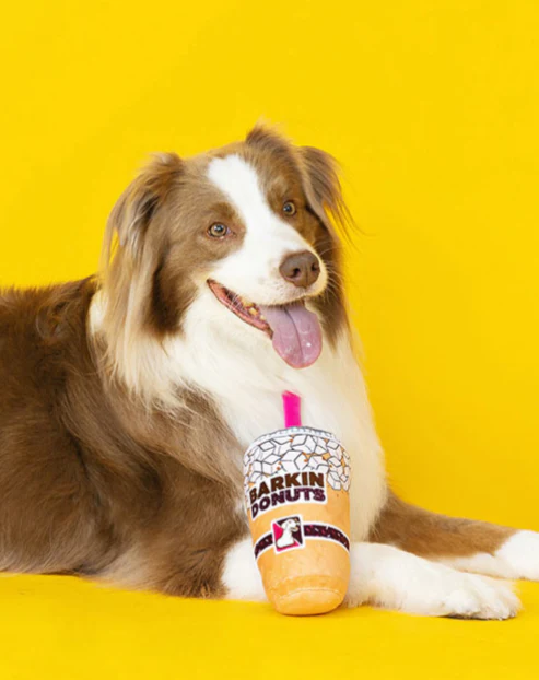 Barkin Donuts Iced Coffee Crinkle + Squeak Plush Dog Toy (FINAL SALE) - Image 2