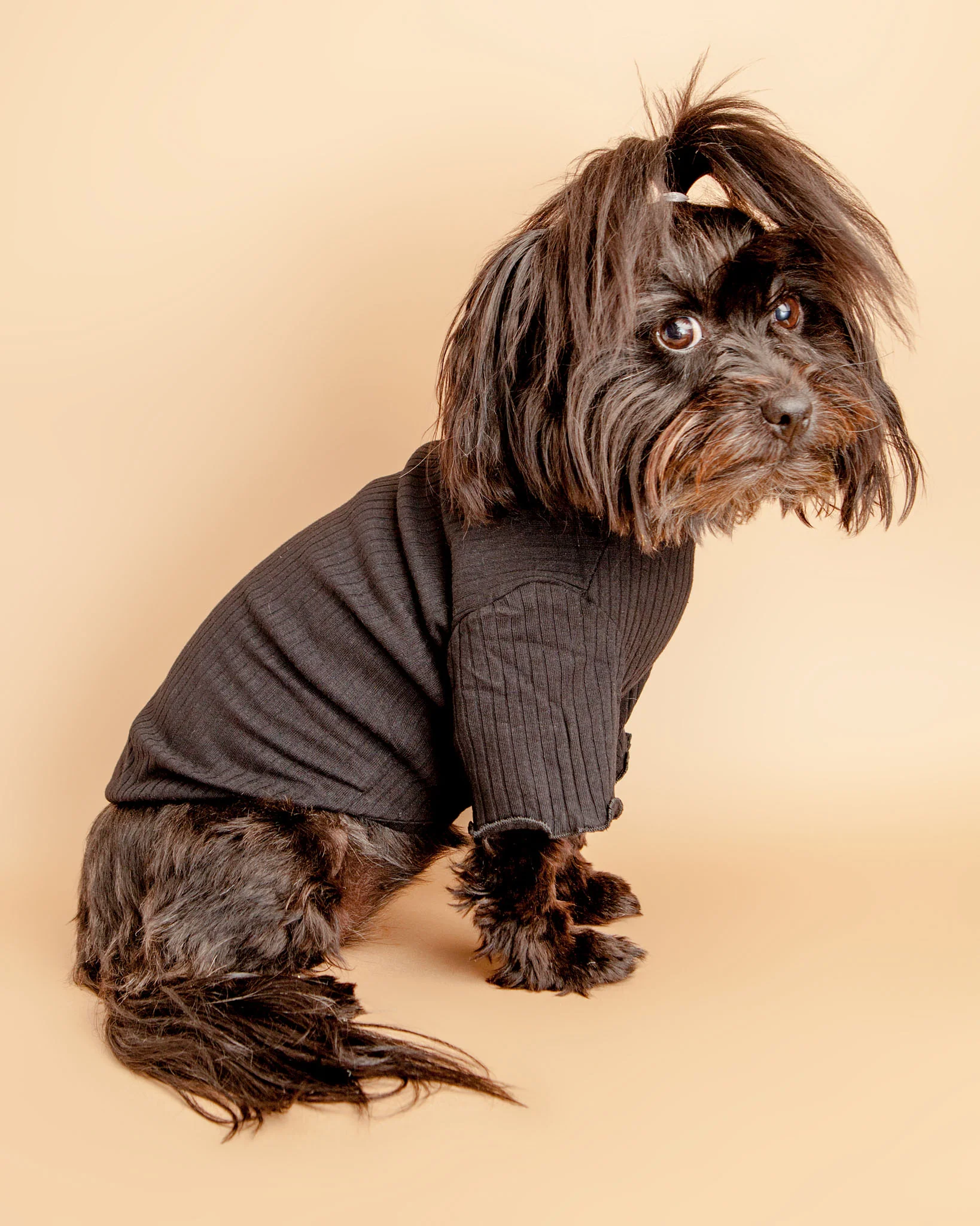 Ruffle Cuff Ribbed Dog Turtleneck in Black - Image 2