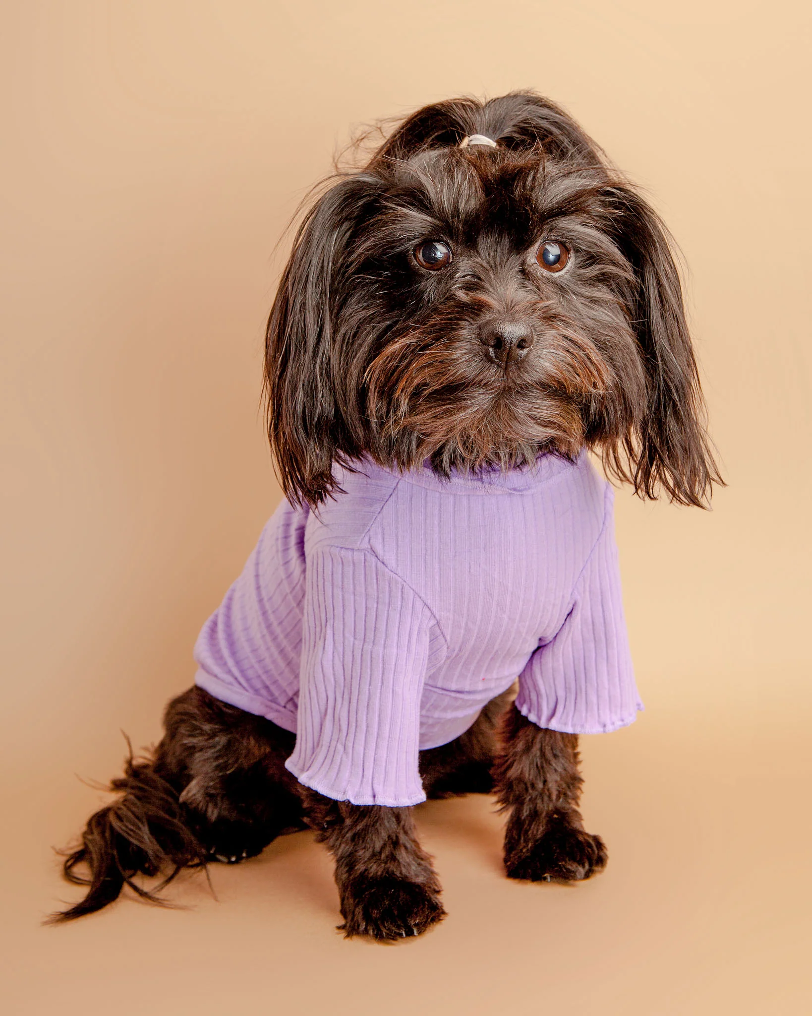 Ruffle Cuff Ribbed Dog Turtleneck in Lilac - Image 2