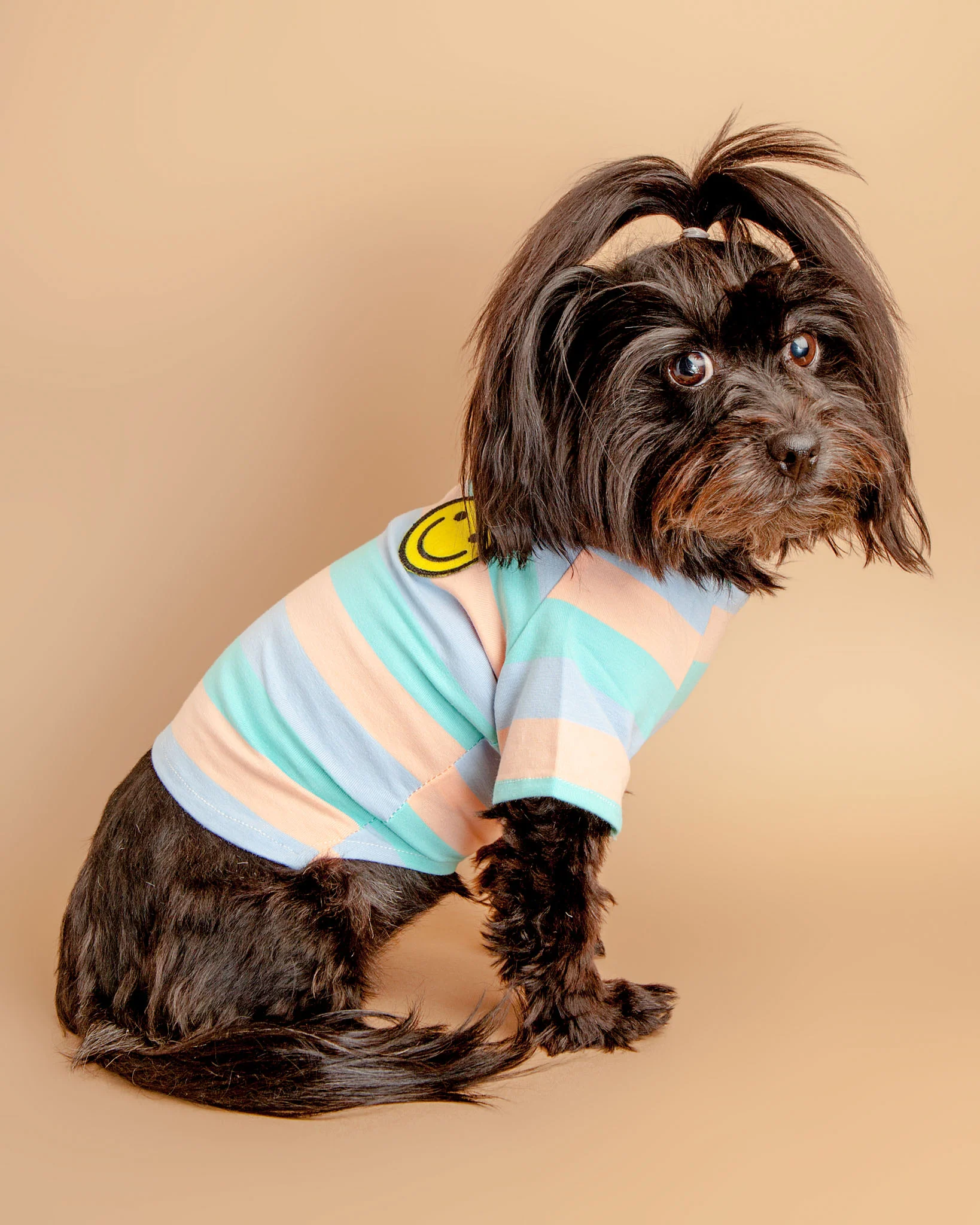Smiley Stripe Dog T-Shirt - Image 2