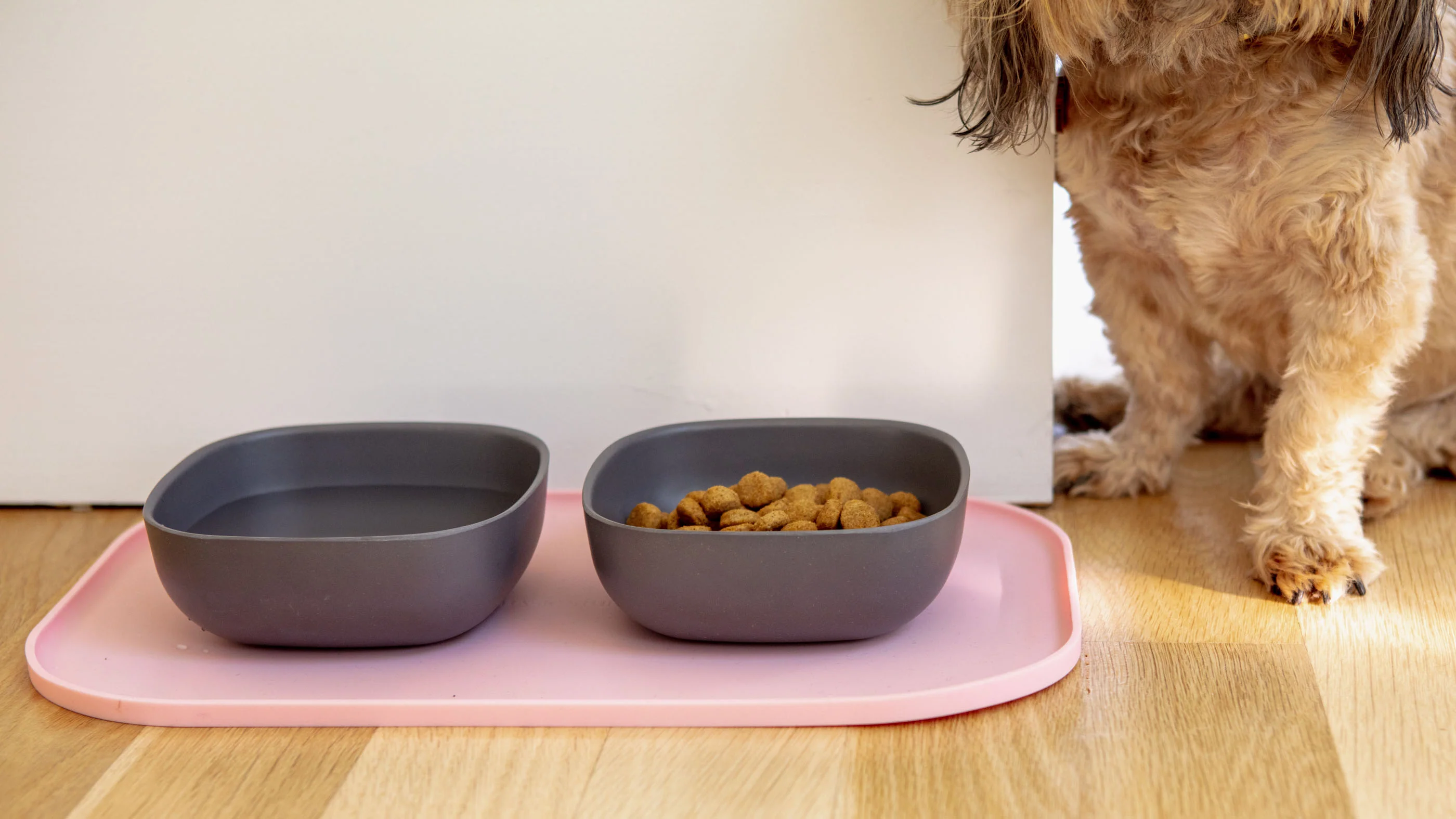 Basic Dog Placemat in Baby Pink - Image 4
