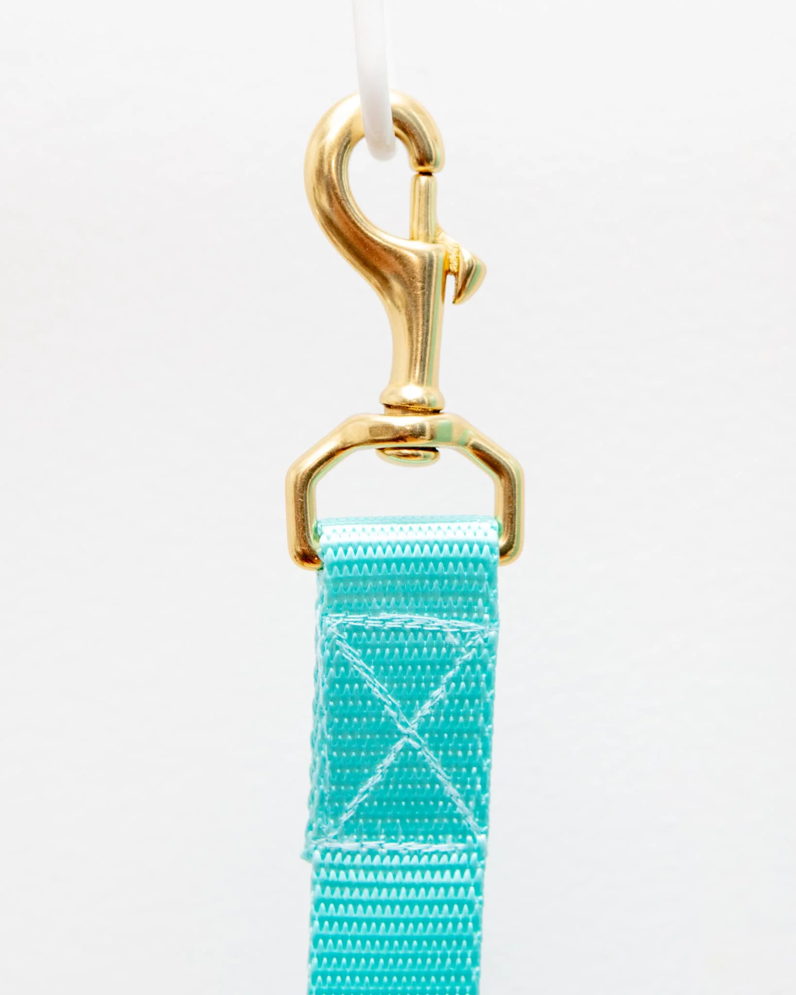Basic Nylon Dog Leash in Aqua (Made in the USA) - Image 3