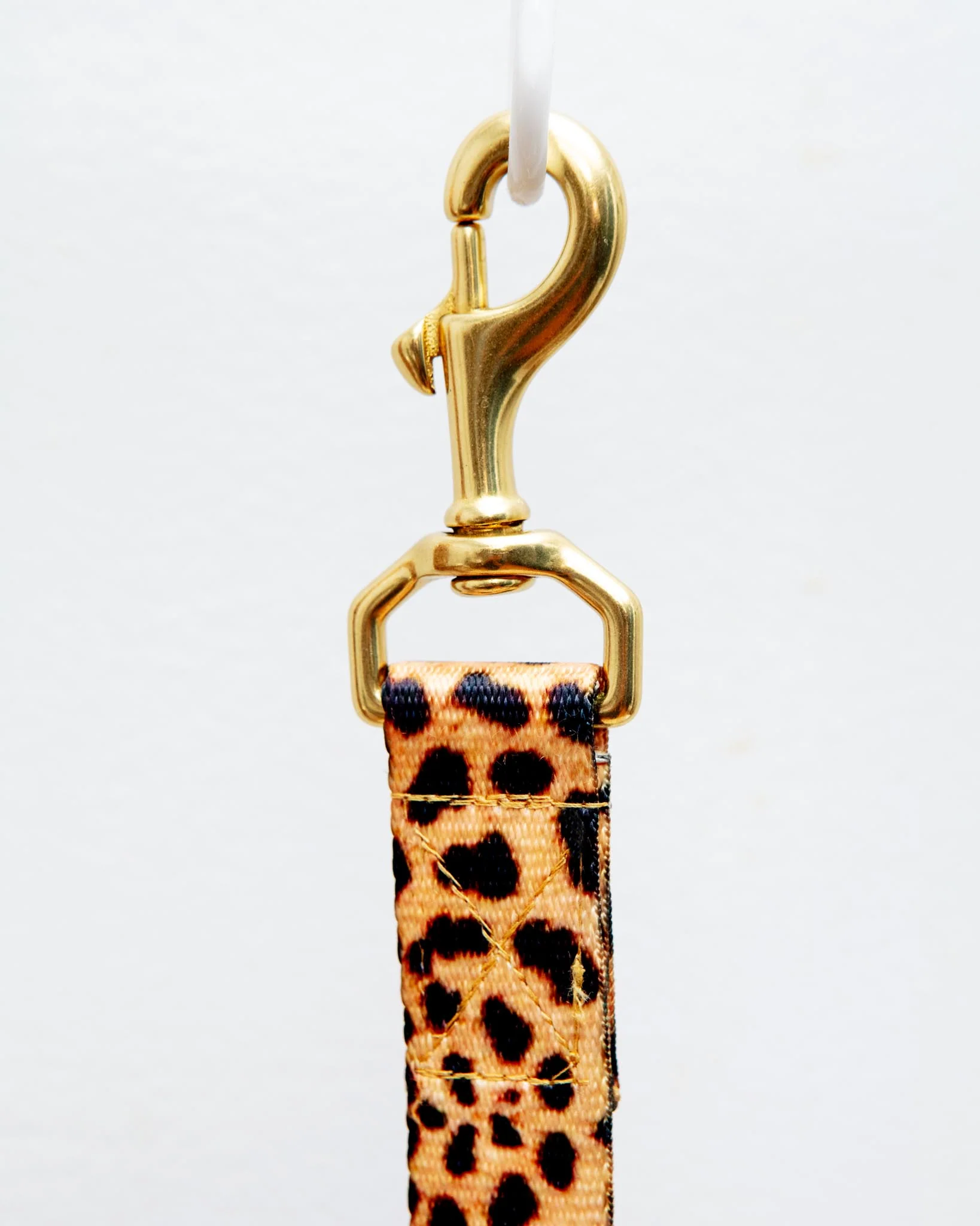 Basic Nylon Dog Leash in Leopard (Made in the USA) - Image 3
