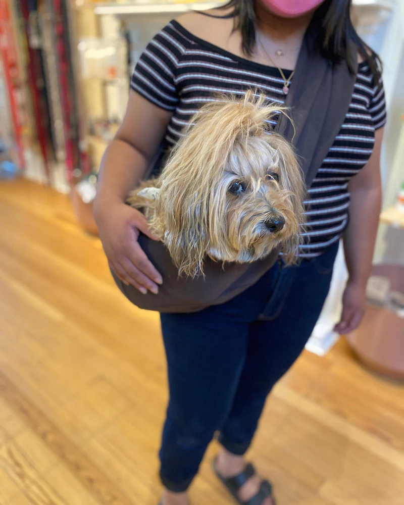 Basic Sling in Mocha for Dogs - Image 2