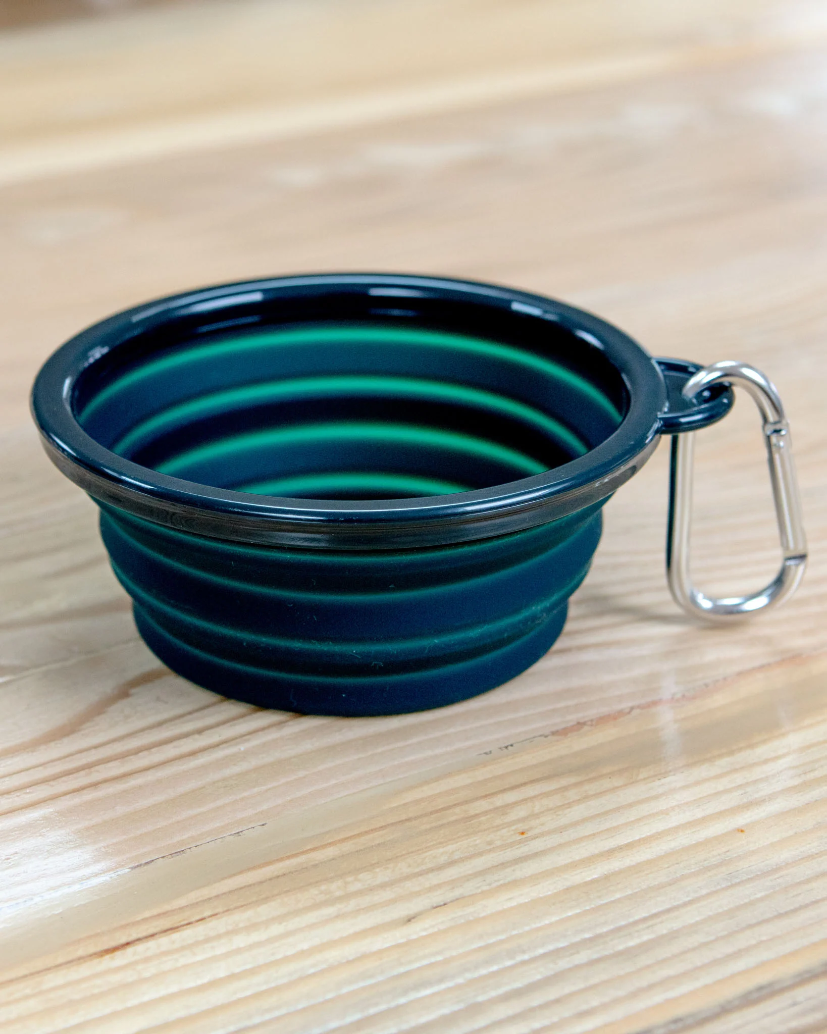Single Travel Dog Bowl in Forest Green