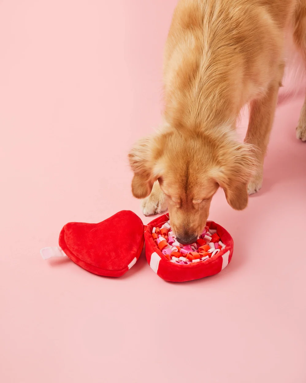 Be My Valentine Interactive Snuffle Dog Toy - Image 3