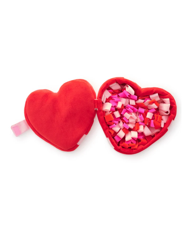 Be My Valentine Interactive Snuffle Dog Toy - Image 5