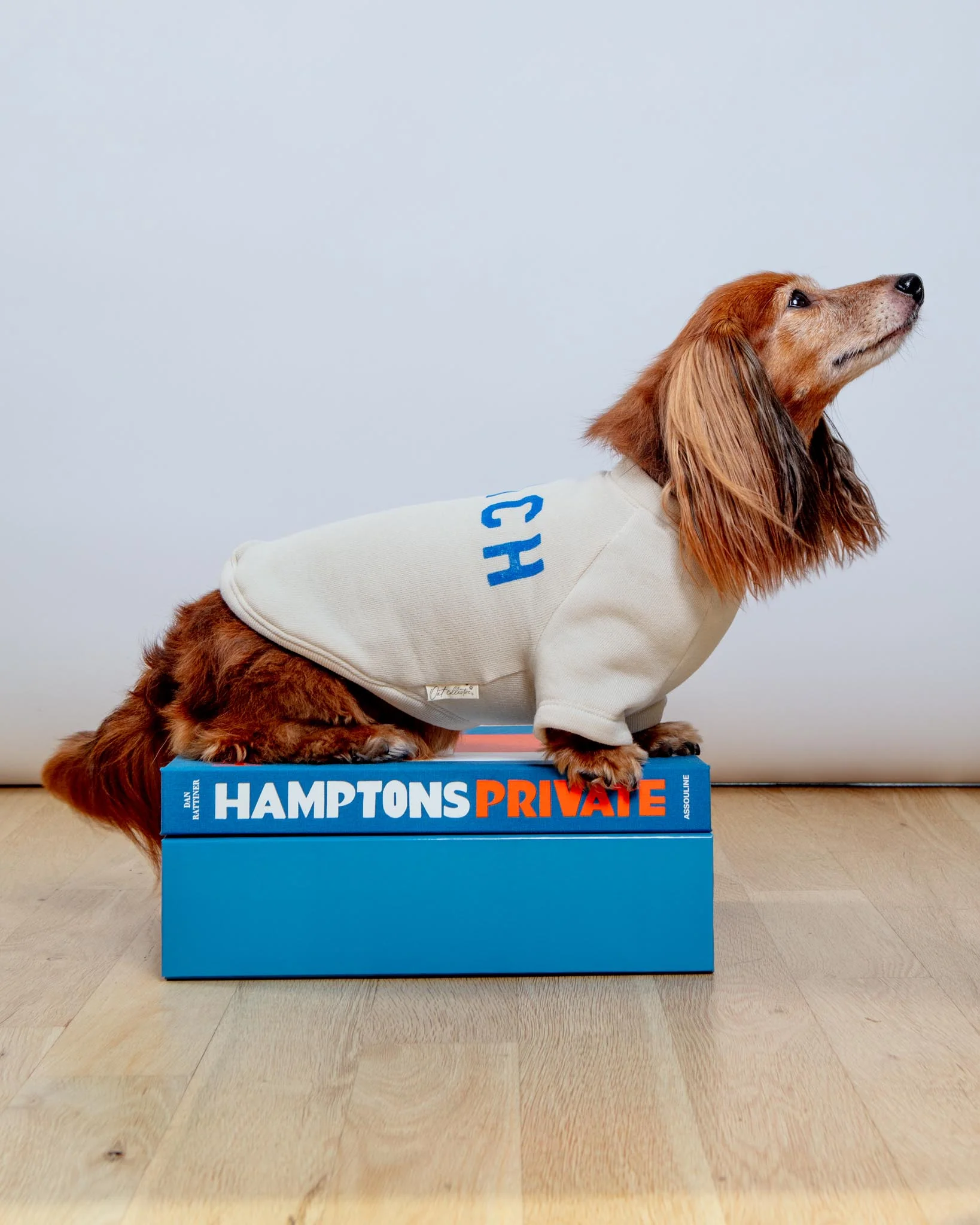 BEACH Dog Sweatshirt - Image 3
