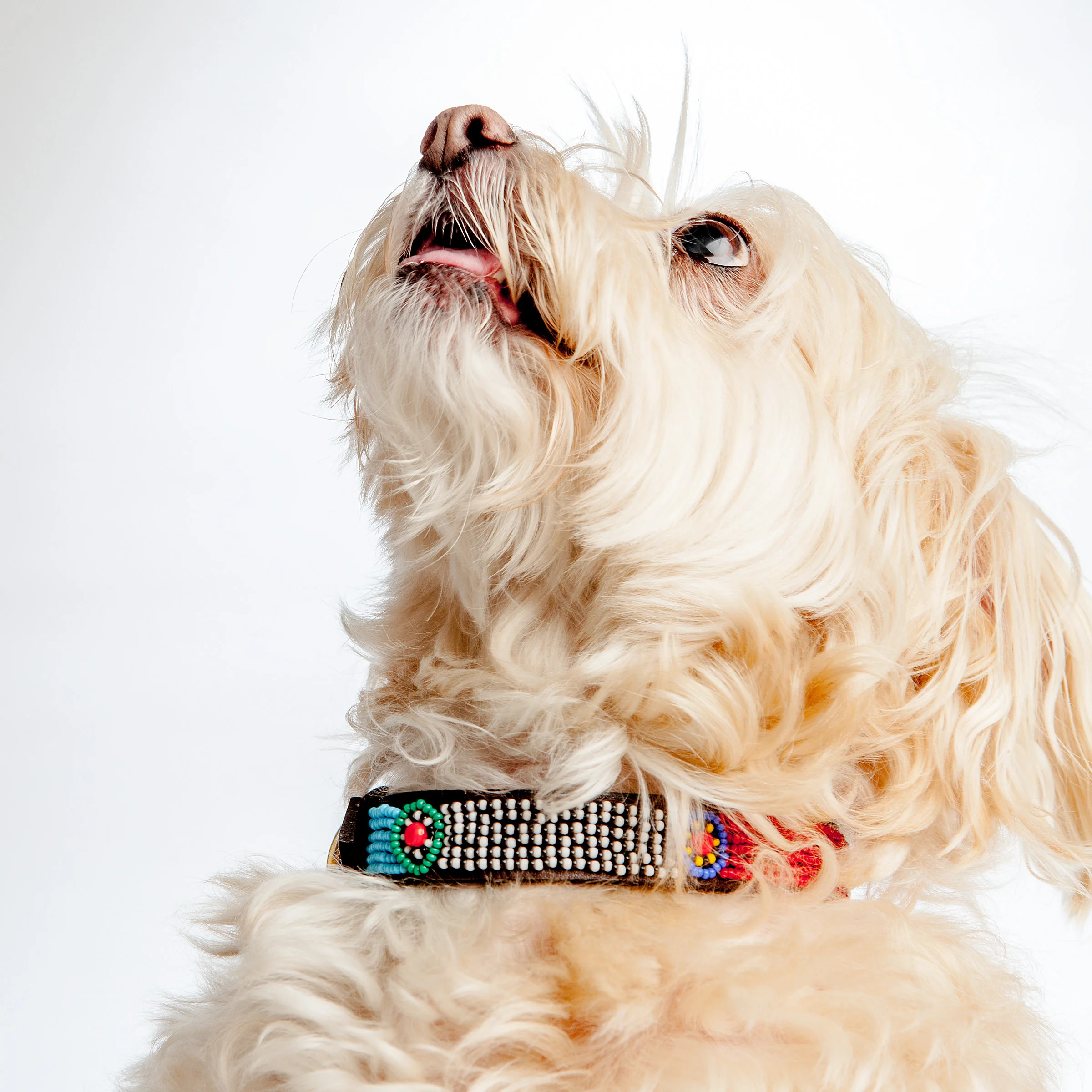 BEADWORKS KENYA | Lines & Circles Beaded Collar - Image 2