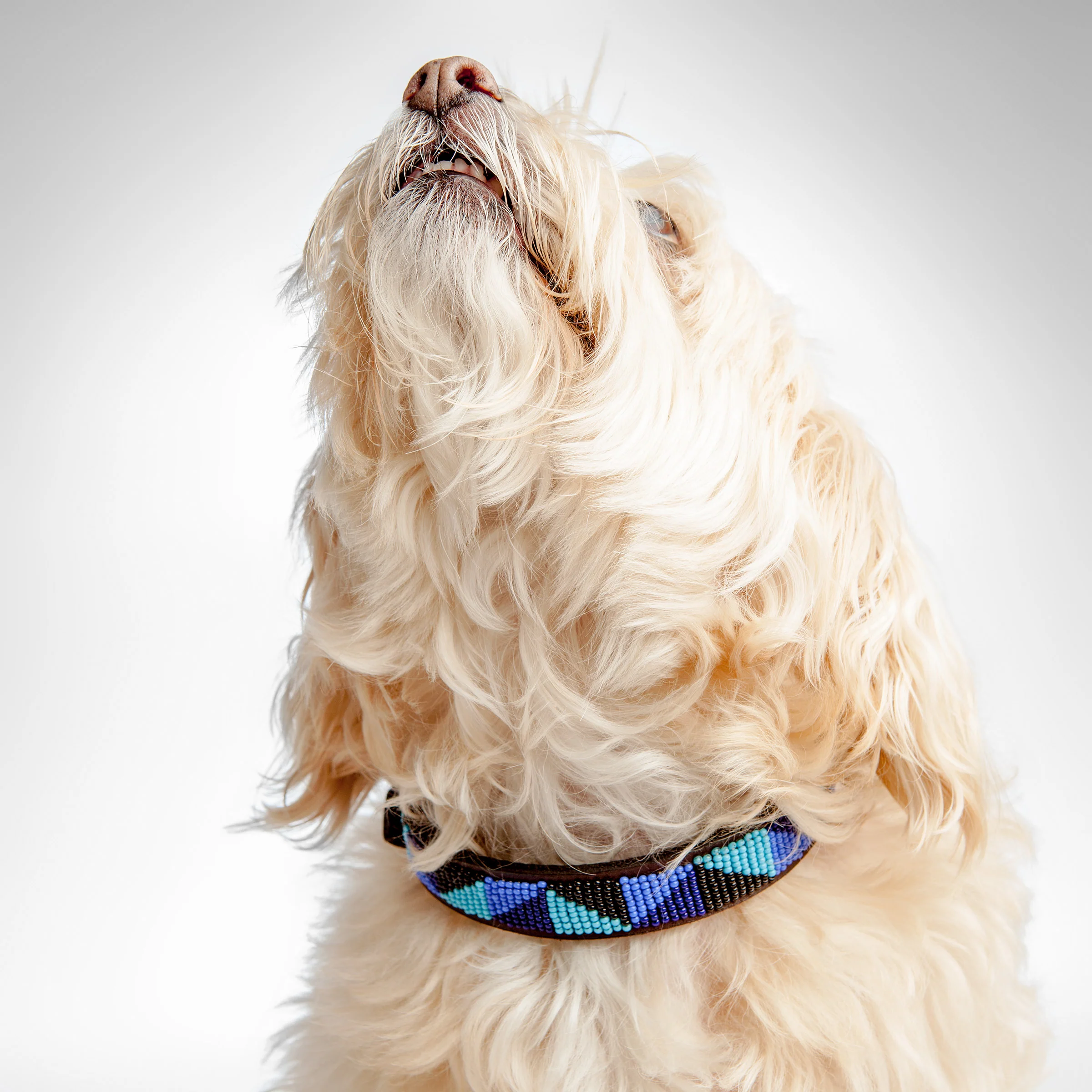 BEADWORKS KENYA | Ziggy Blue Beaded Collar - Image 2