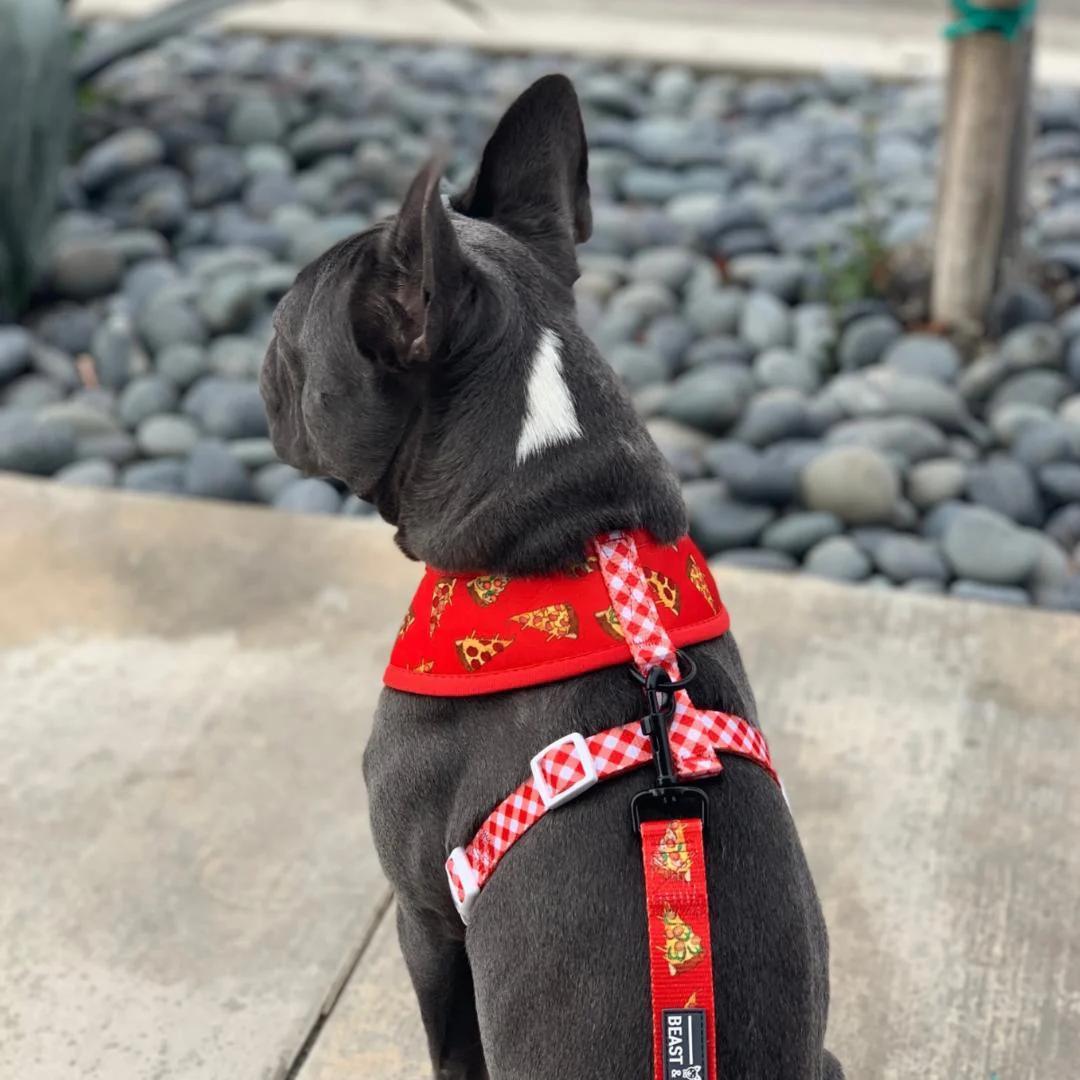 Reversible Pizza Harness - Image 6