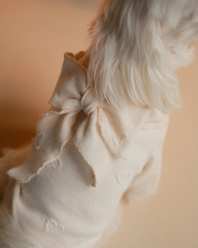Beatrice Lady Bow Long-Sleeve Dog Shirt (FINAL SALE) - Image 4