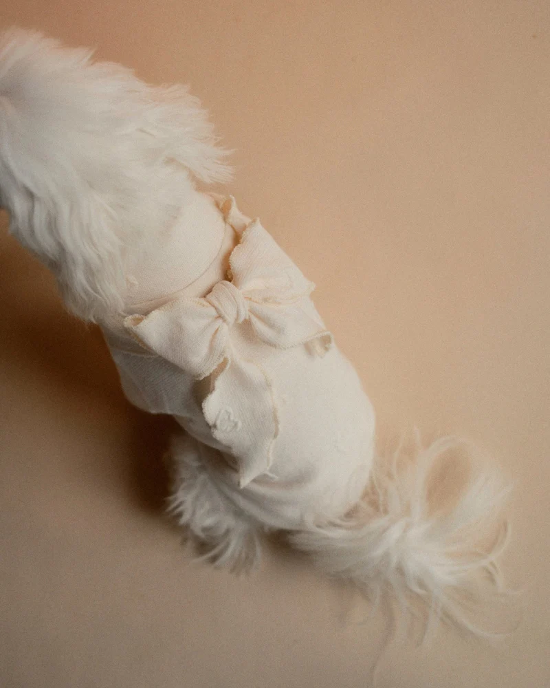 Beatrice Lady Bow Long-Sleeve Dog Shirt (FINAL SALE) - Image 7