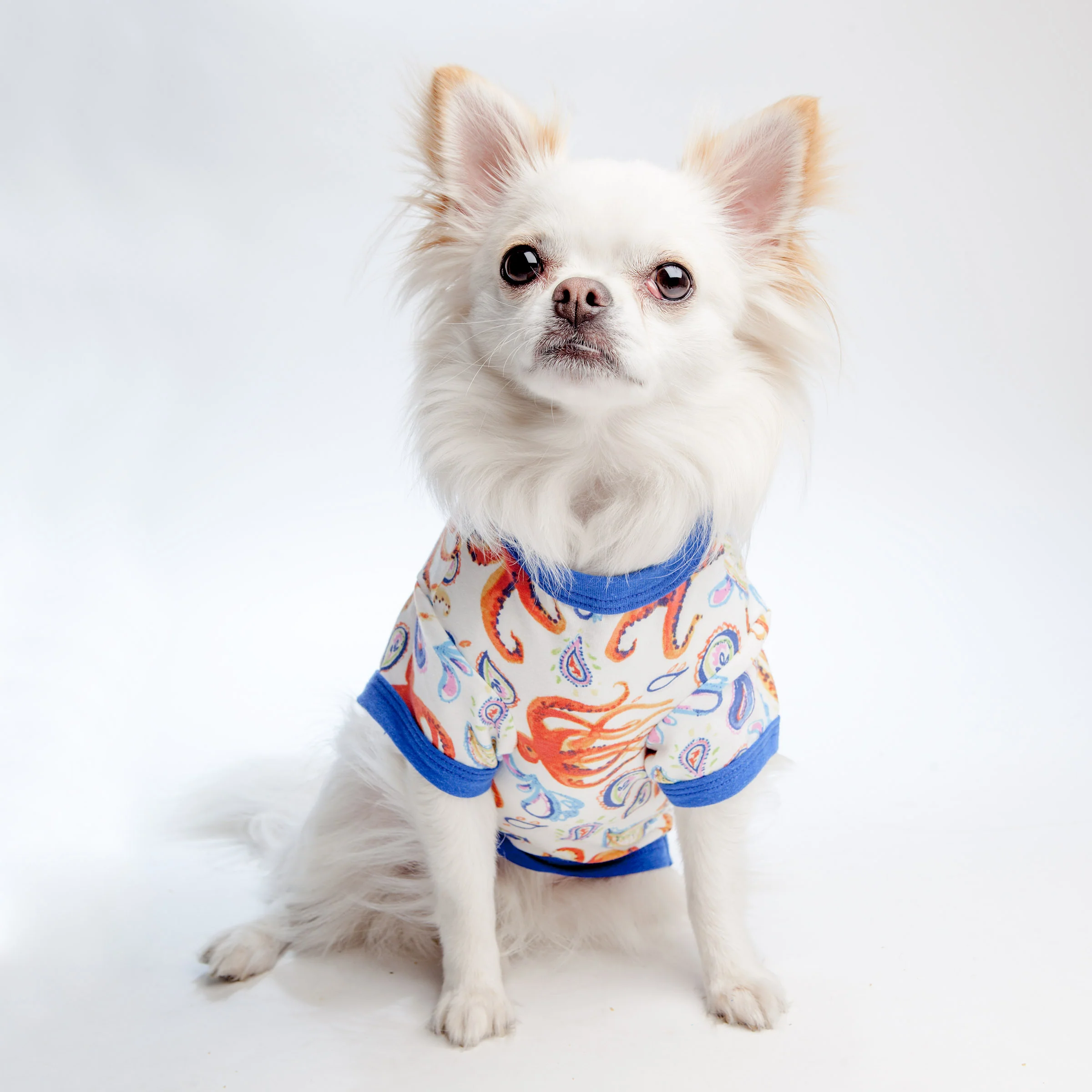 BEDHEAD | Lounge Dog T in Into the Deep