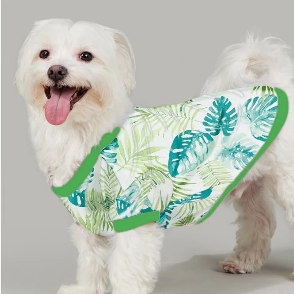 BEDHEAD | Lounge Dog T in Island Palm - Image 2