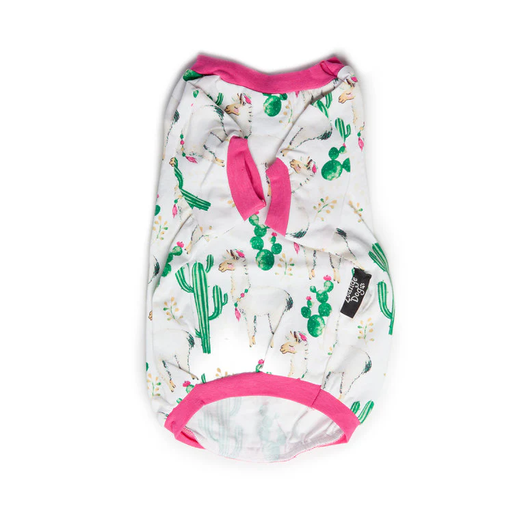 BEDHEAD | Lounge Dog T in Llama Cactus - Image 2