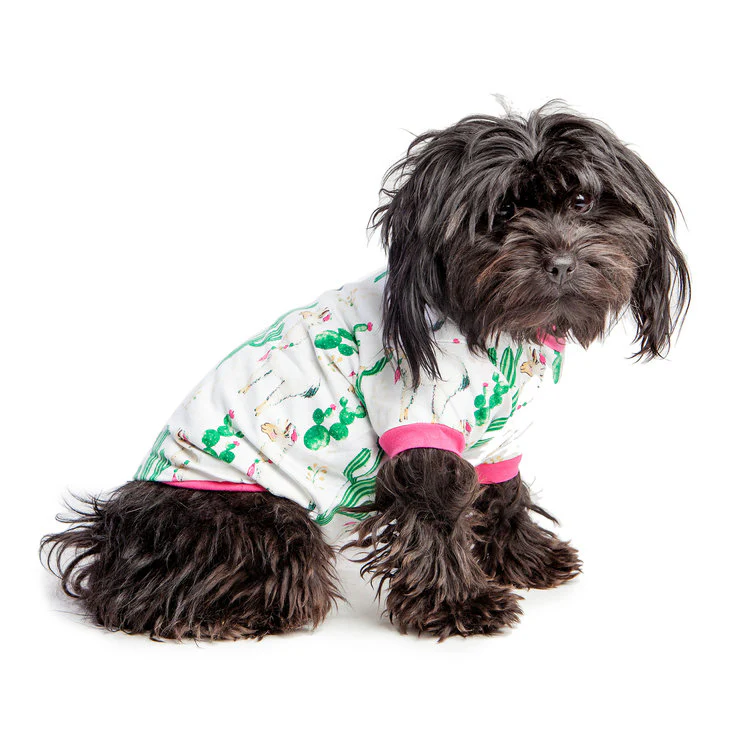 BEDHEAD | Lounge Dog T in Llama Cactus - Image 3