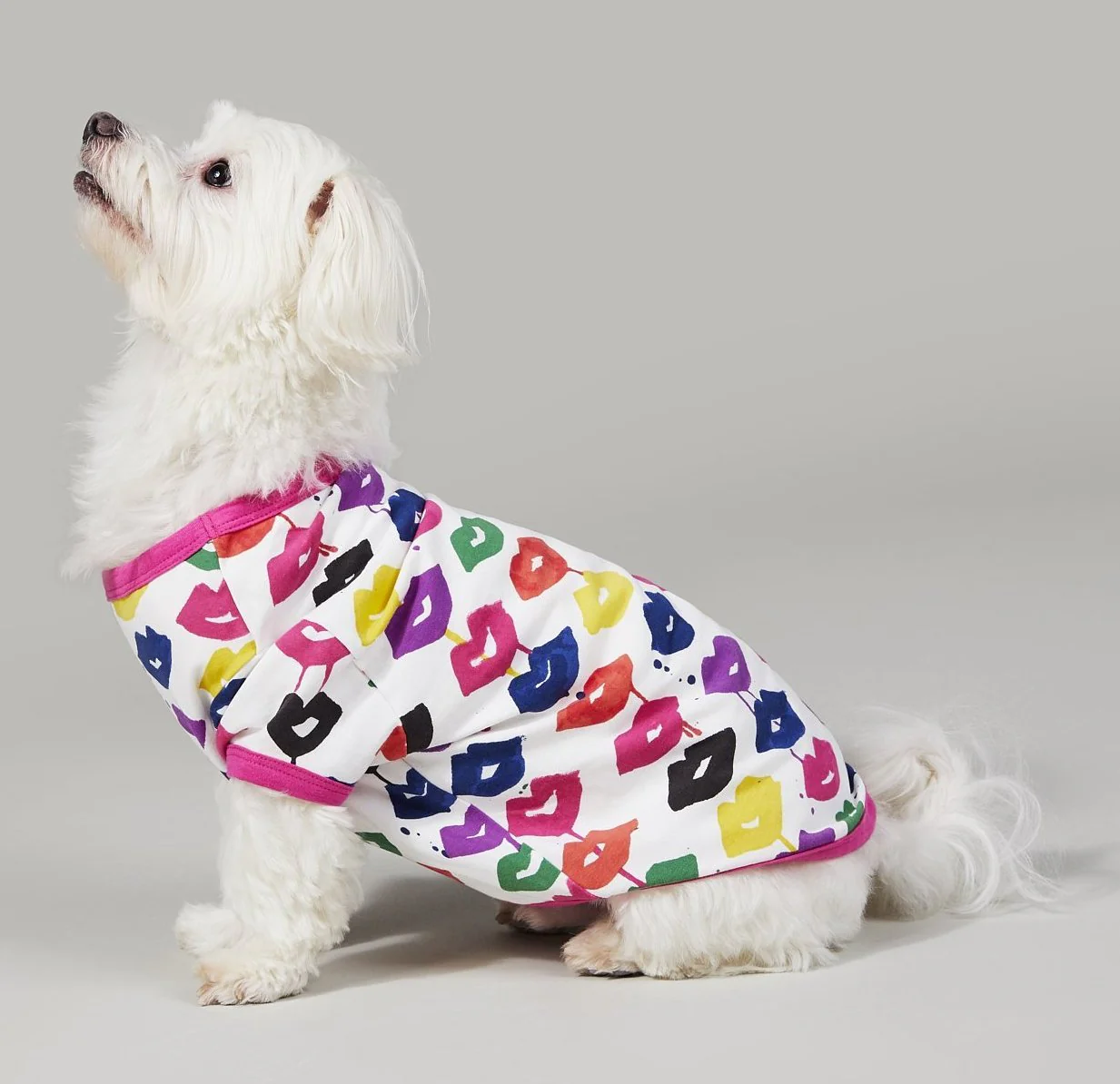 BEDHEAD | Lounge Dog T in Sealed with a Kiss