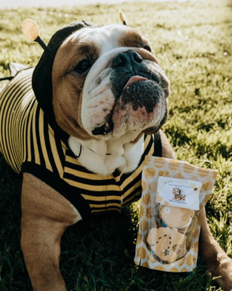 Bee-Licious Peanut Butter Dog Treats - Image 4