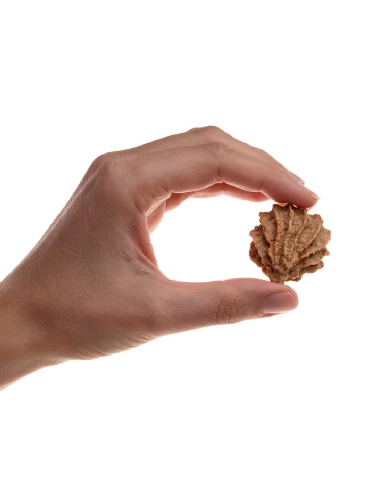 Beef and Apple Cookie Treats for Dogs (Made in the USA) - Image 2