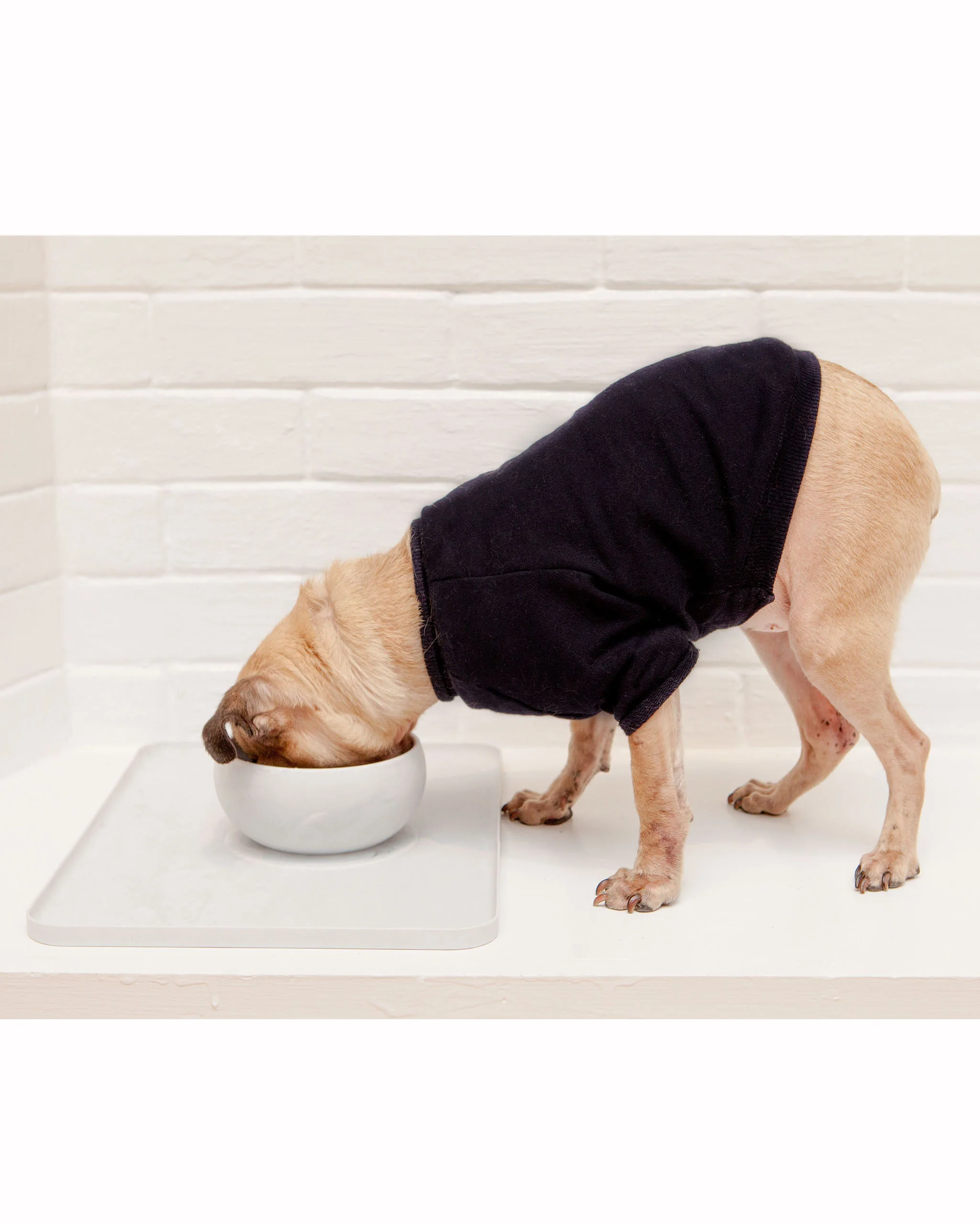 Speckle Silicone Suction Food & Water Bowl - Image 3