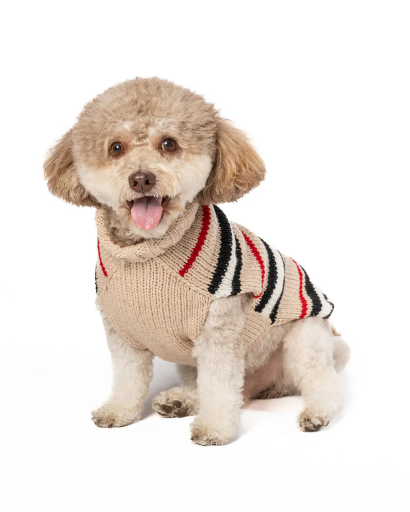 Bentley Alpaca Stripe Wool Dog Sweater (FINAL SALE) - Image 3