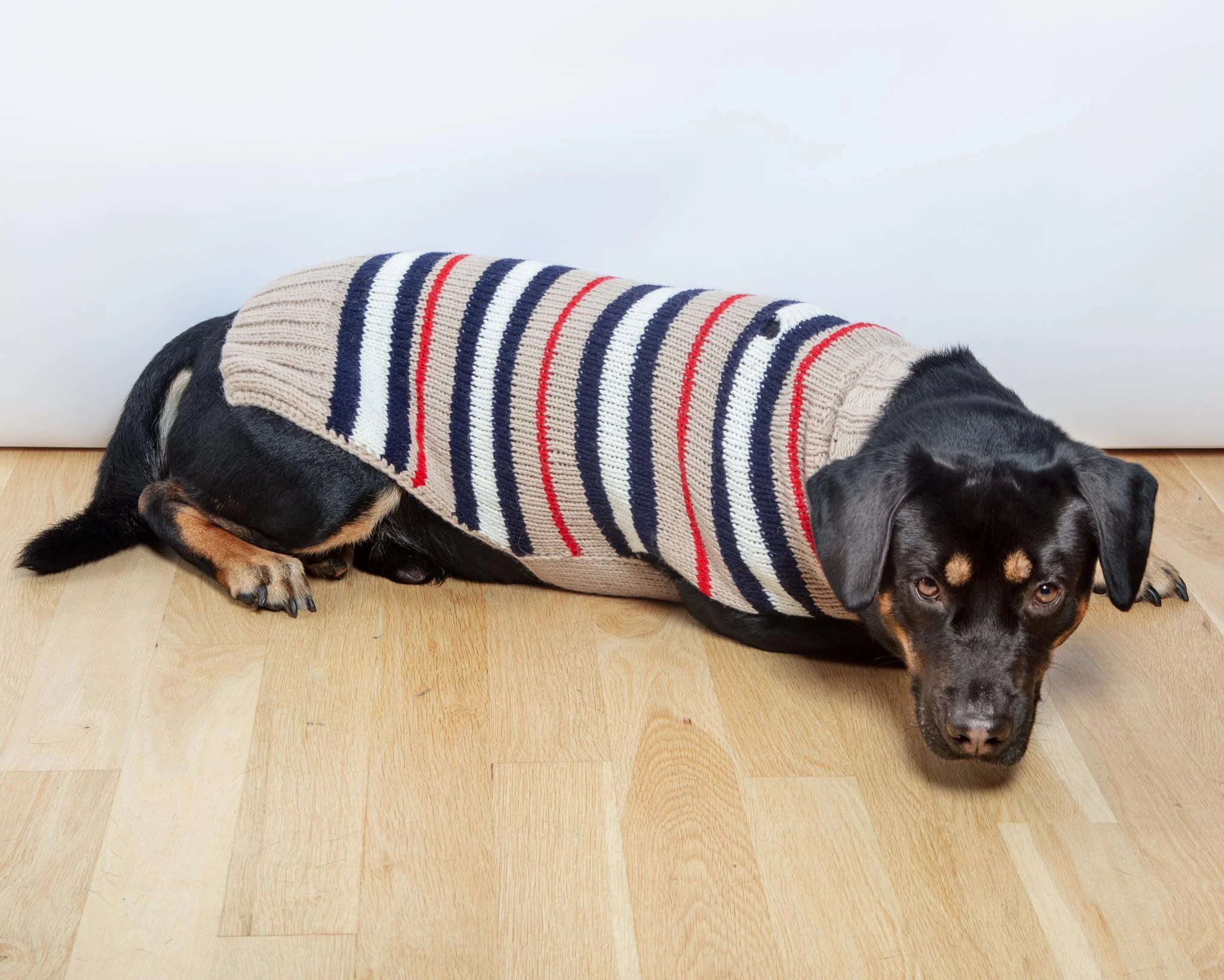 Bentley Alpaca Stripe Wool Dog Sweater (FINAL SALE) - Image 5