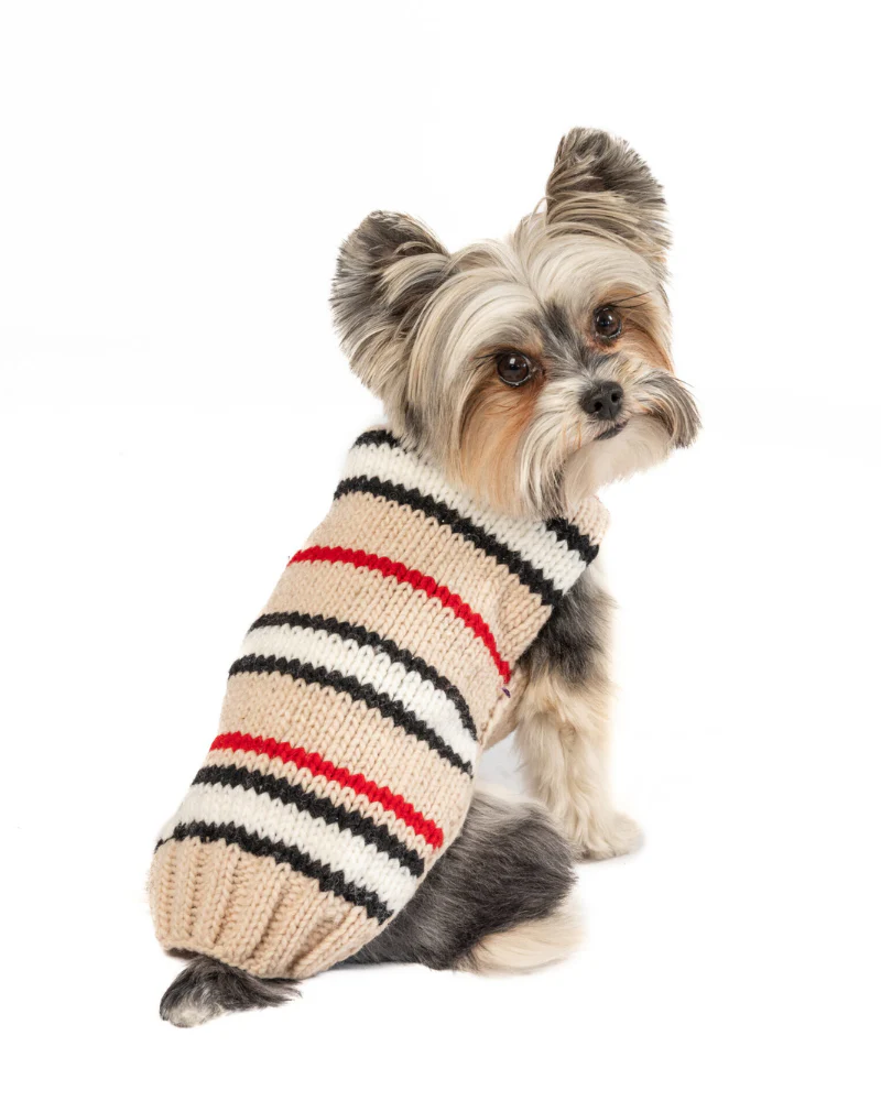 Bentley Alpaca Stripe Wool Dog Sweater (FINAL SALE) - Image 6