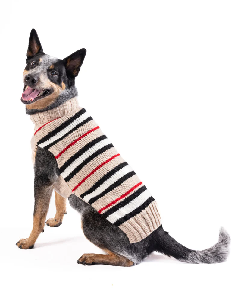 Bentley Alpaca Stripe Wool Dog Sweater (FINAL SALE) - Image 8