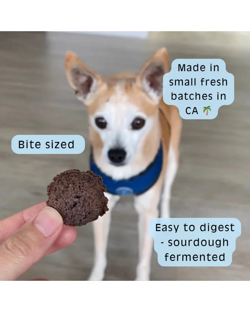 Berry Blessed - Blueberry Sourdough Dog Treats - Image 4