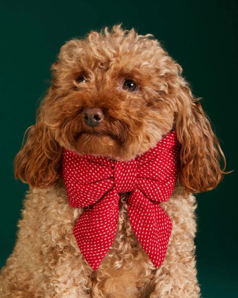 Berry Stitch Dog Lady Bow (Made in the USA)