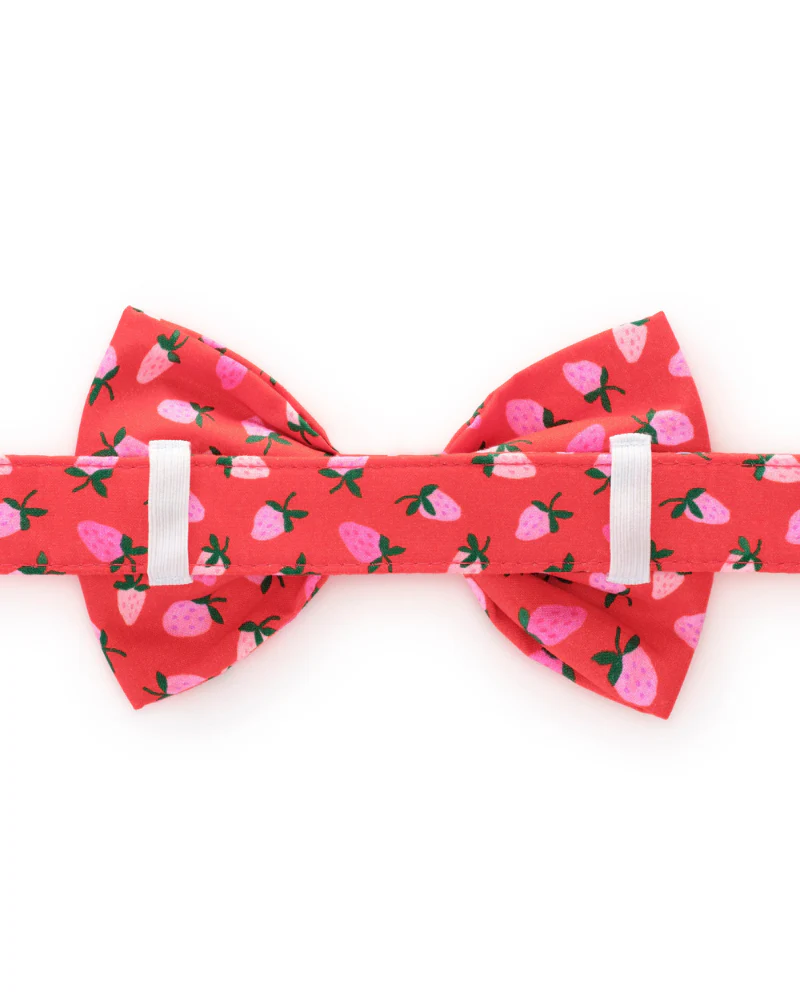 Berry Sweet Dog Bow Tie (Made in the USA) - Image 4