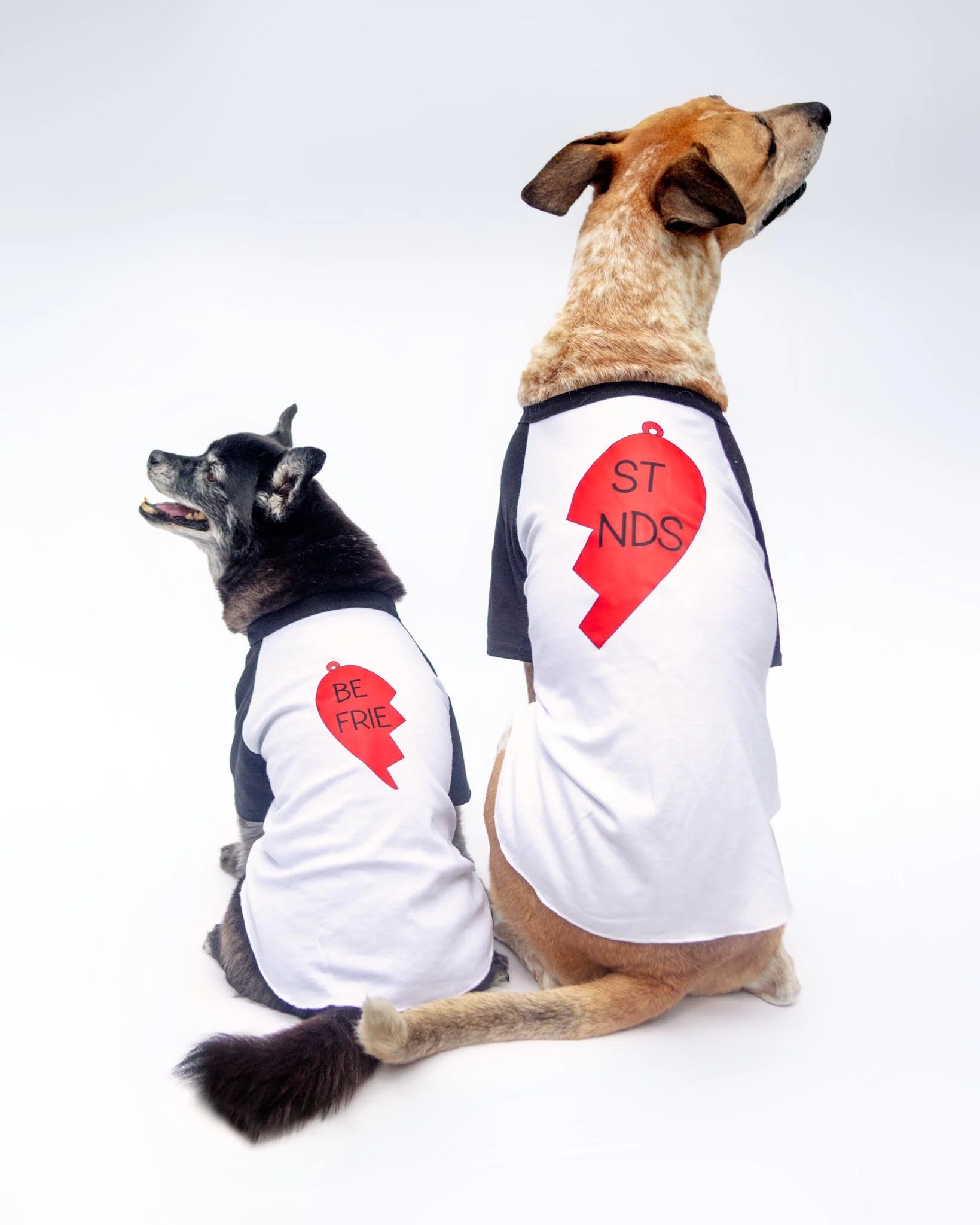 *Best Friends* Graphic Dog T-Shirt (Left Heart) (FINAL SALE)