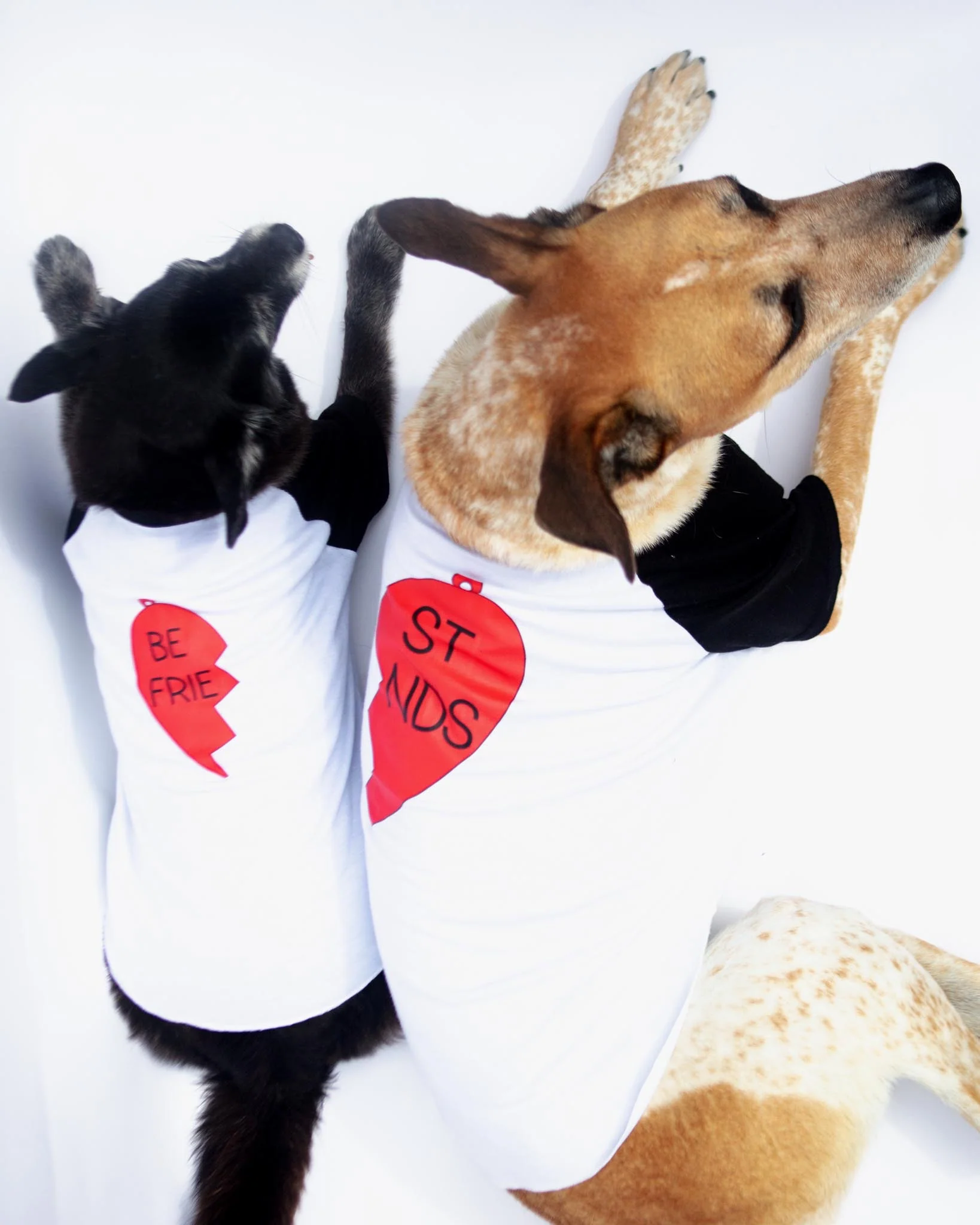 *Best Friends* Graphic Dog T-Shirt (Left Heart) (FINAL SALE) - Image 4