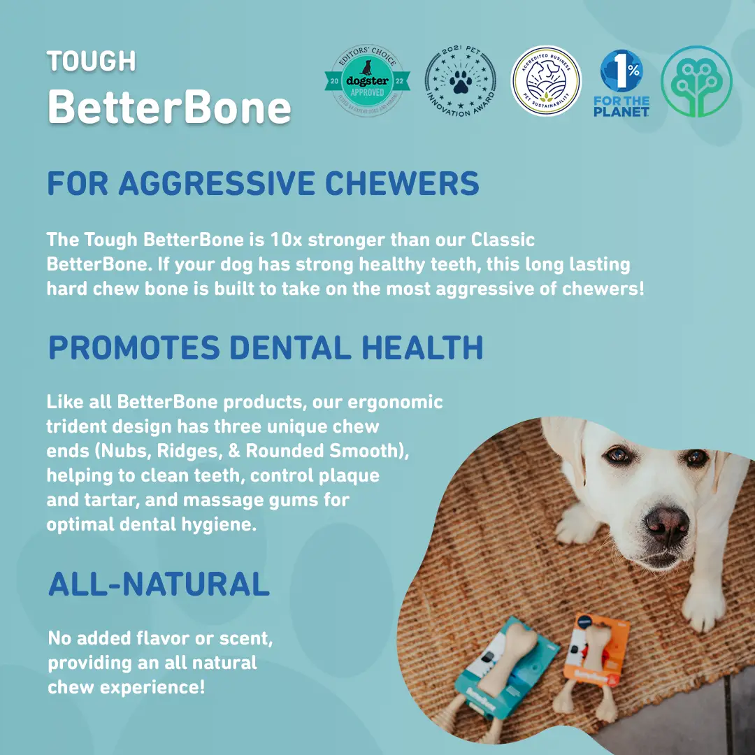 TOUGH All Natural Eco-Friendly Dog Chew Toy (Beef Flavor - Hard) - Image 6