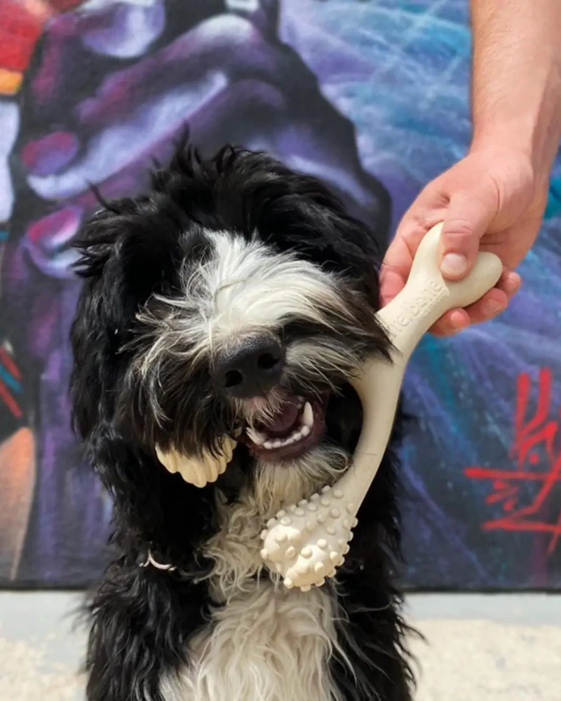 Natural Hypoallergenic Eco-Friendly Dog Chew Toy (Beef Flavor - Soft) - Image 5